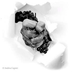 Logo Caponi © | Maria Ernesta Berucci Maria Ernesta Berucci - Azienda agricola, vitivinicola e agrituristica