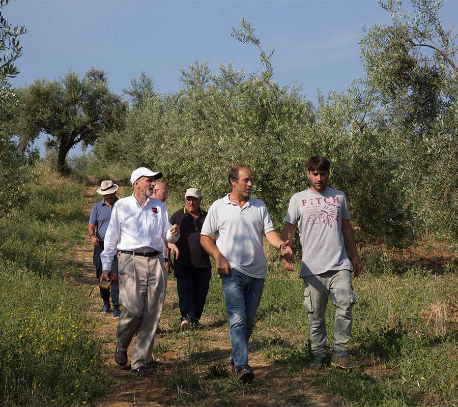 Olo-omeopatia | Maria Ernesta Berucci, Azienda agricola, vitivinicola e agrituristica