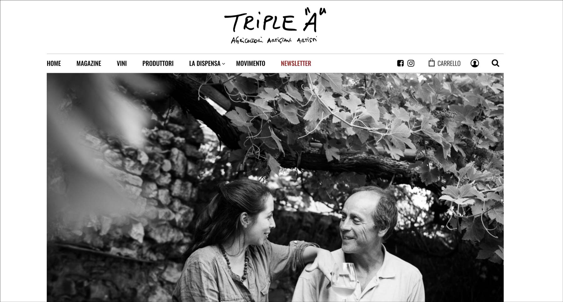 tripleA-ecommerce-vini