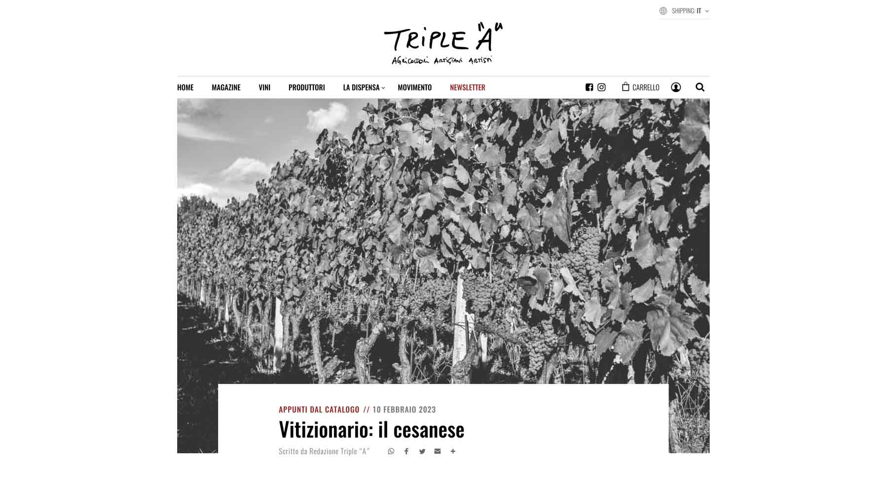 Triple A | Maria Ernesta Berucci, Azienda agricola, vitivinicola e agrituristica